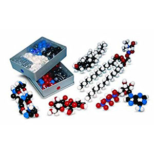 Molecular Model Equipment